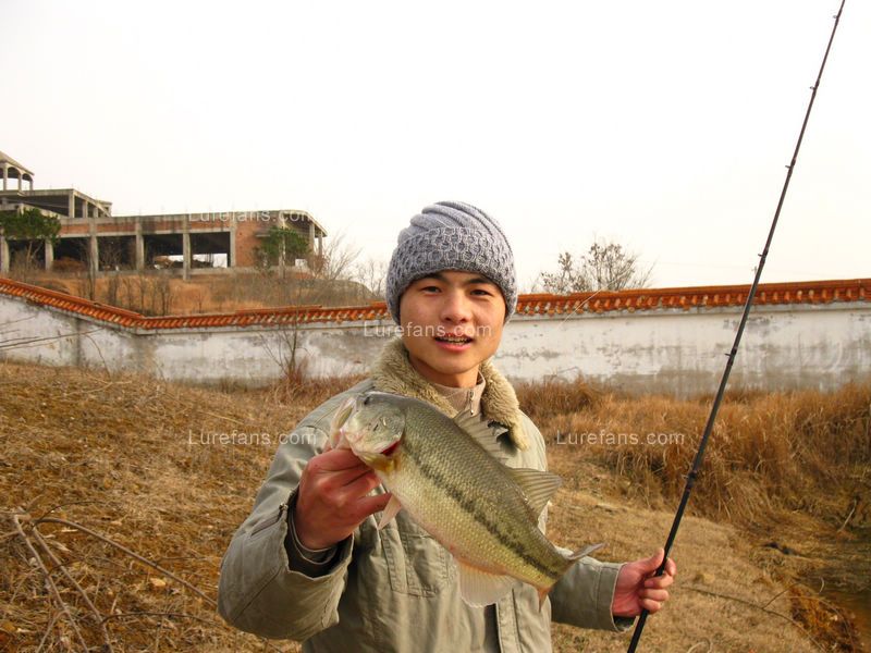03.jpg