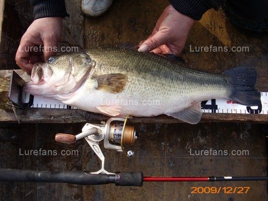 51.5CMBASS