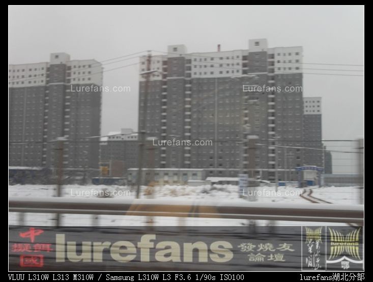 SDC12427.JPG