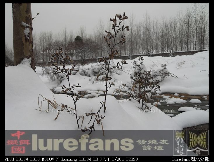 SDC12418.JPG