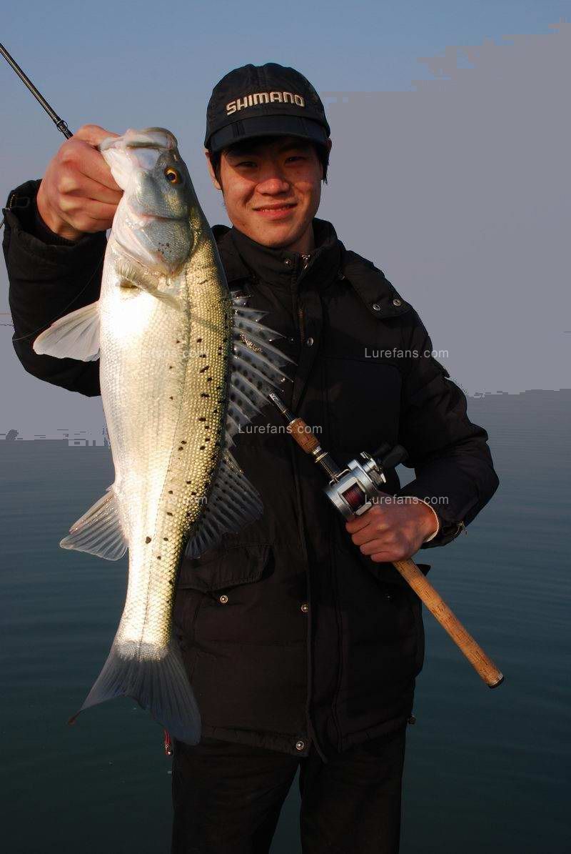 9.JPG