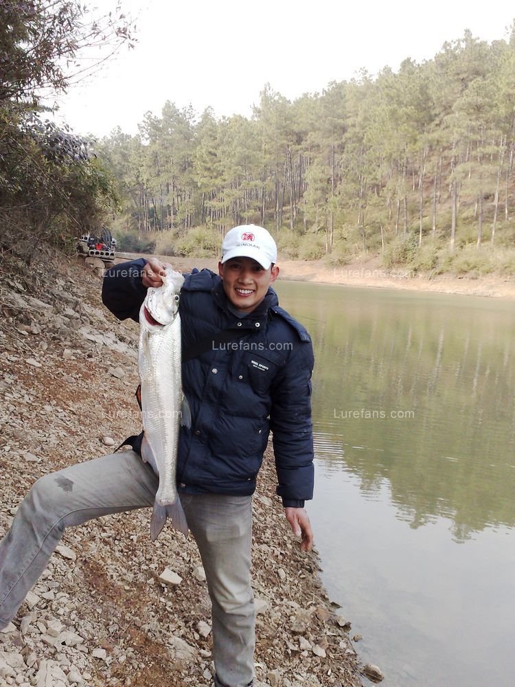 20100124844.jpg