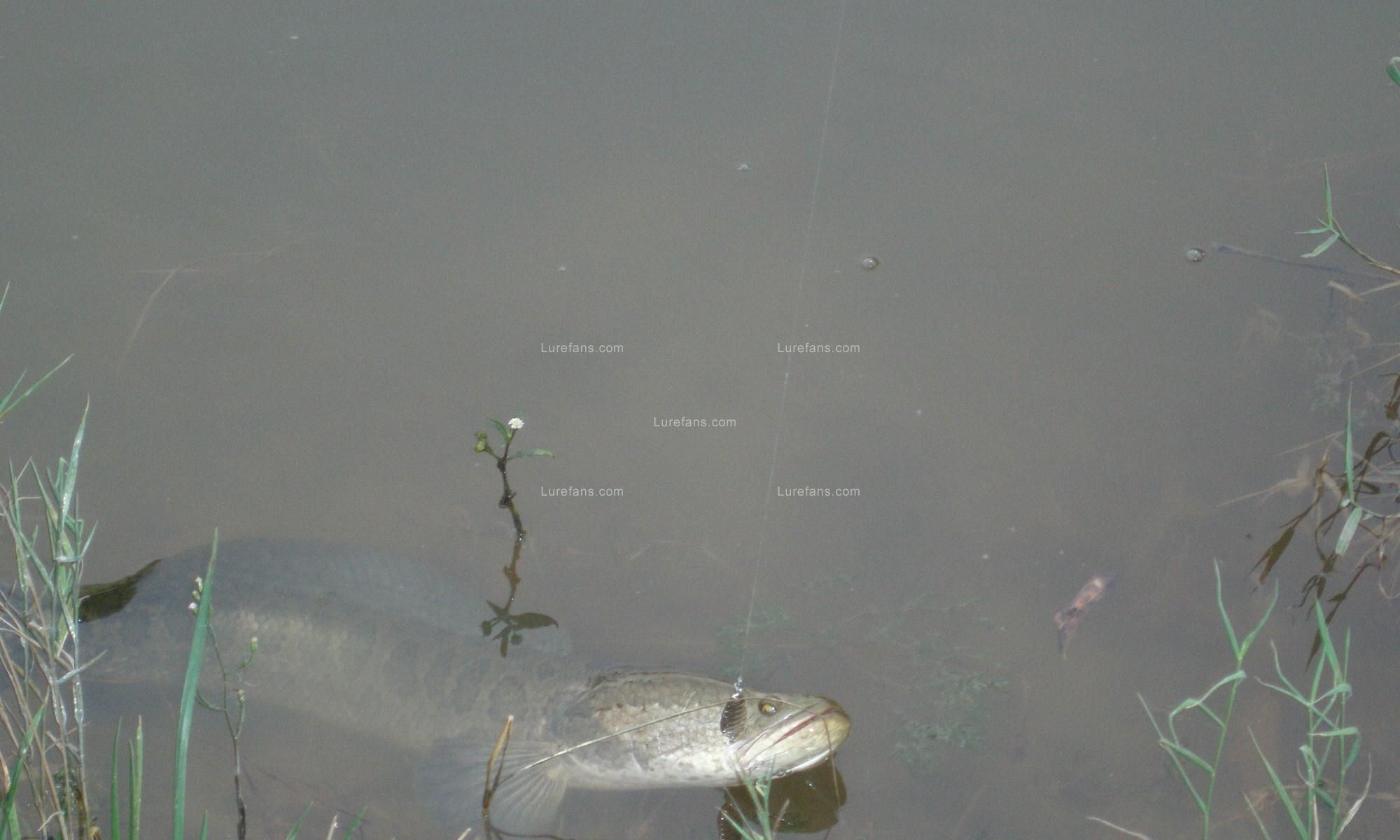 PA100001.JPG