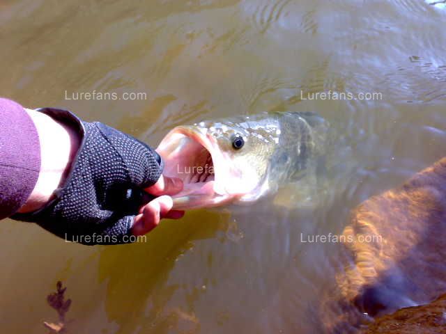 201002152452.jpg