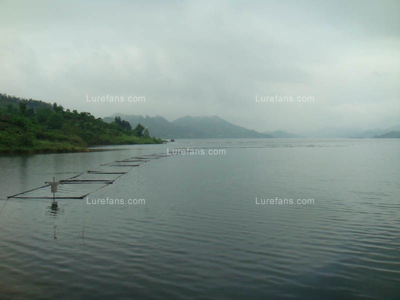20090508_69871b375c641baffa6eAoob8l4vbkLL.jpg