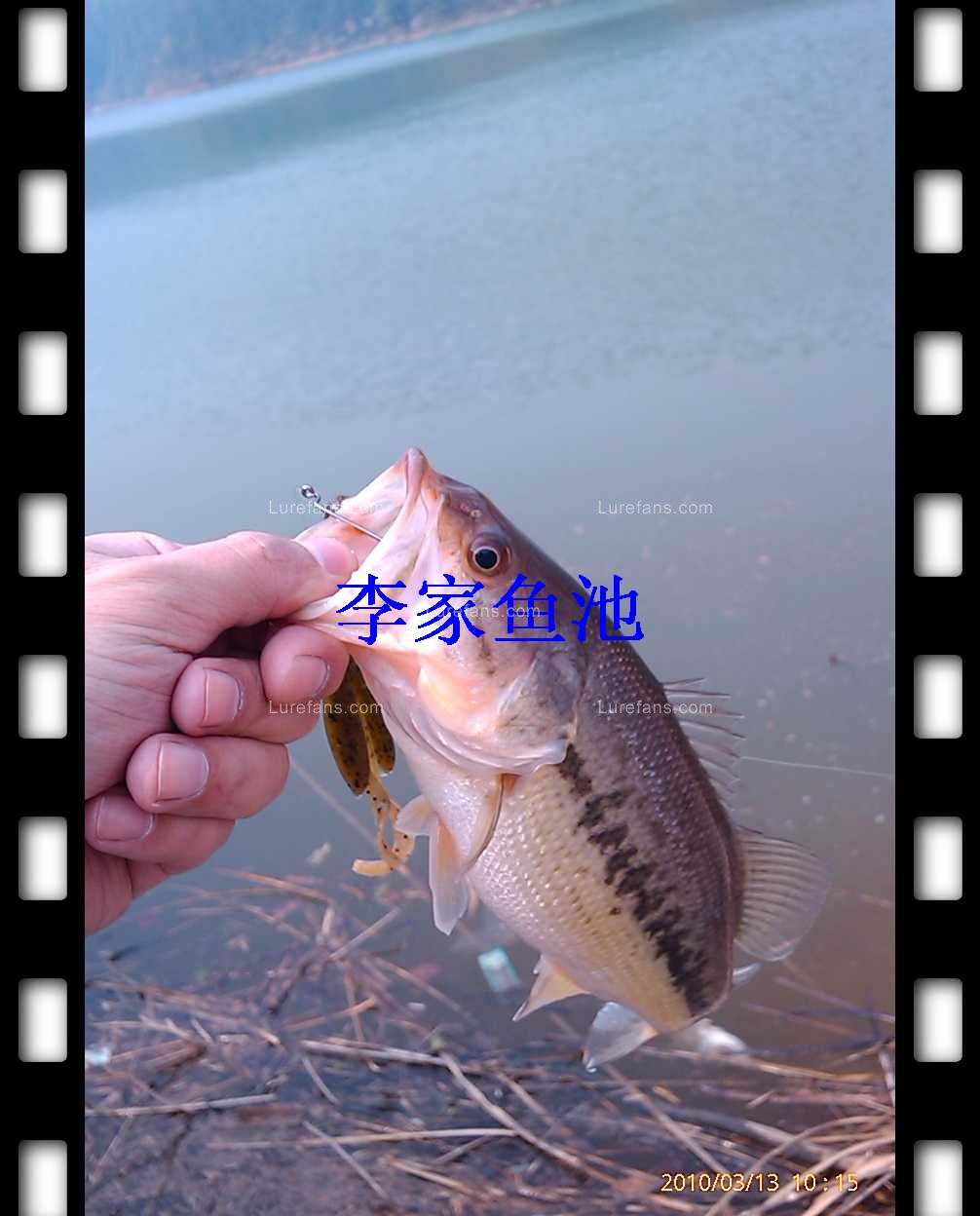 nEO_IMG_IMAG0312.jpg