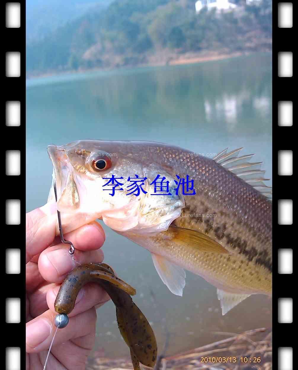 nEO_IMG_IMAG0314.jpg