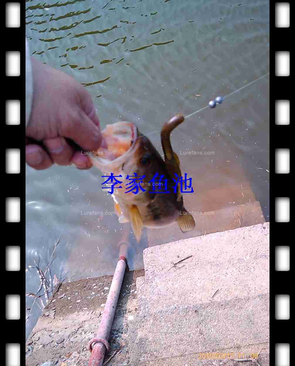 nEO_IMG_IMAG0315.jpg