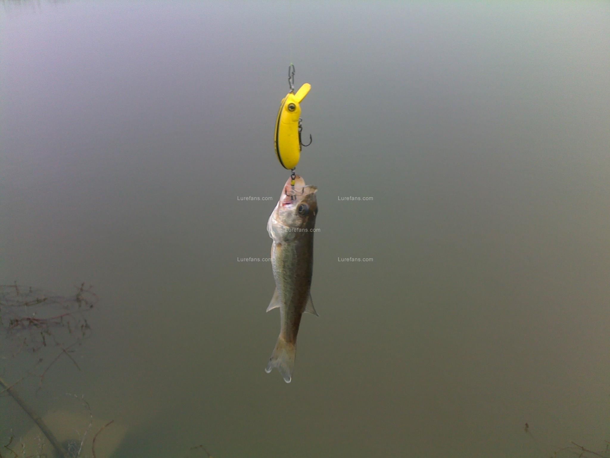 20100401121.jpg