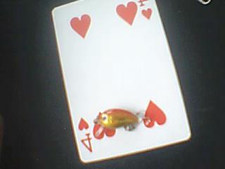 ͼƬ 003.jpg