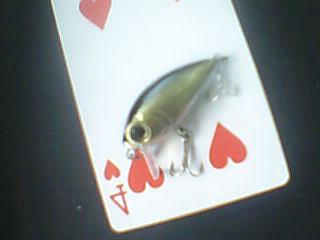 ͼƬ 007.jpg