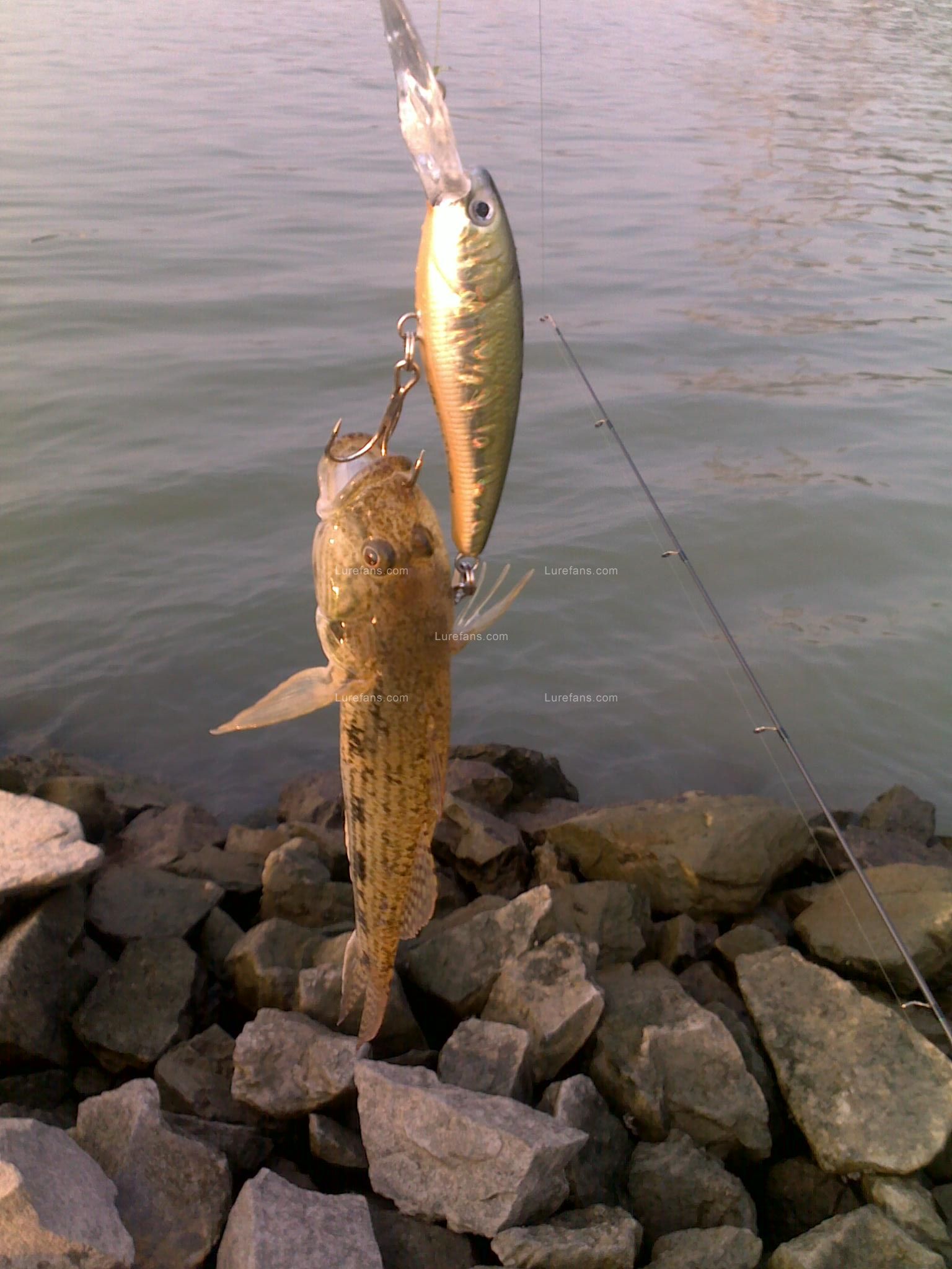 20091127012.jpg
