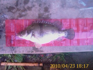 IMAG0318.jpg
