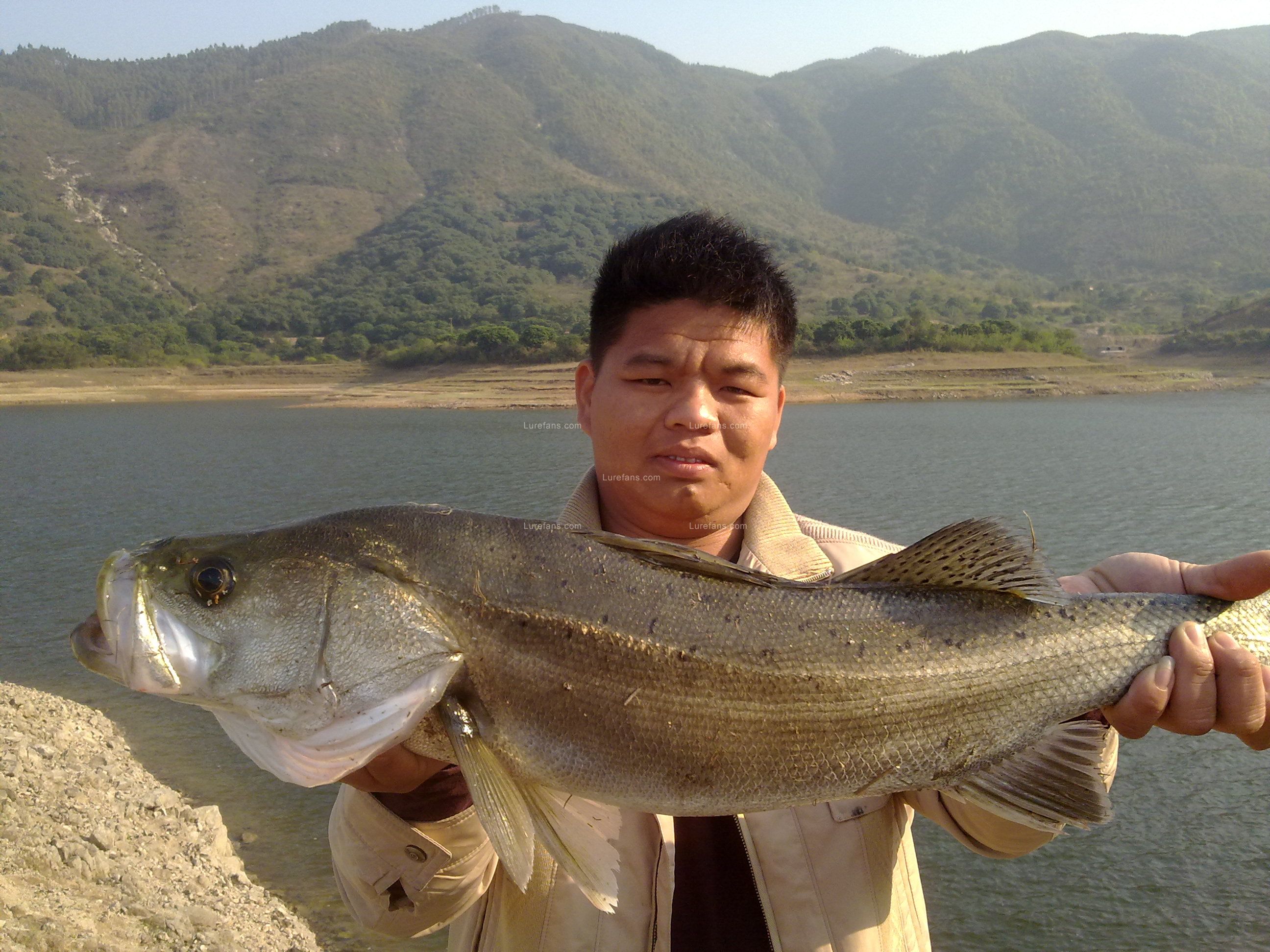 20100310027.jpg
