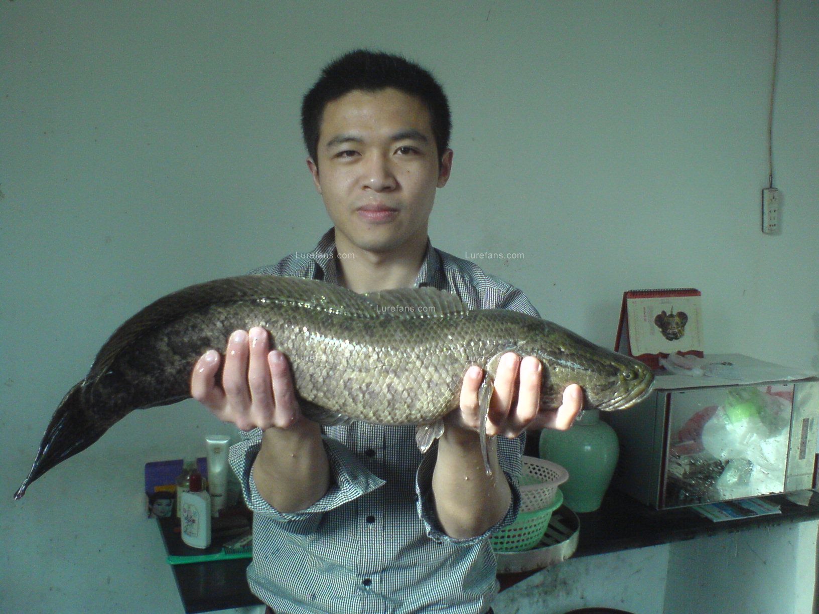 DSC00390.JPG