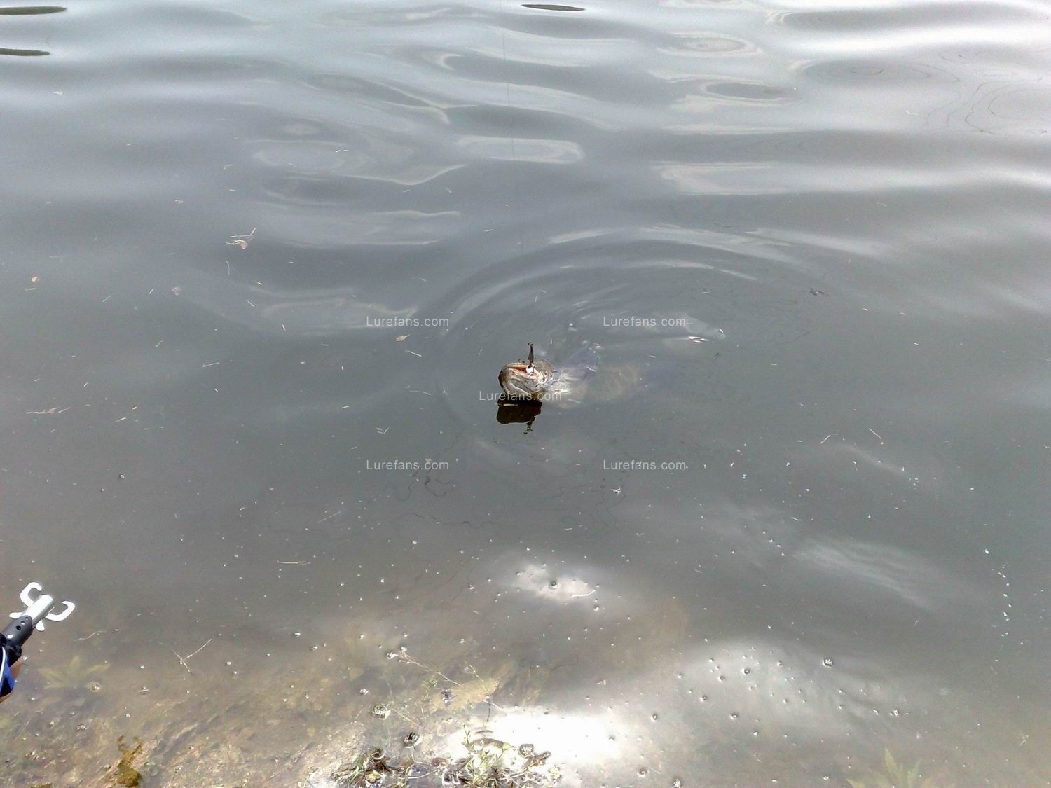 20100501456.jpg