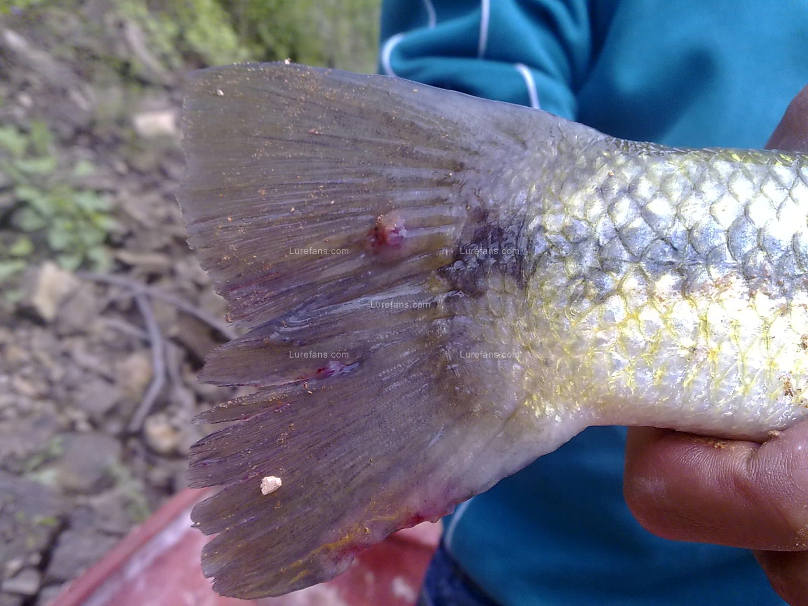 201005091400.jpg
