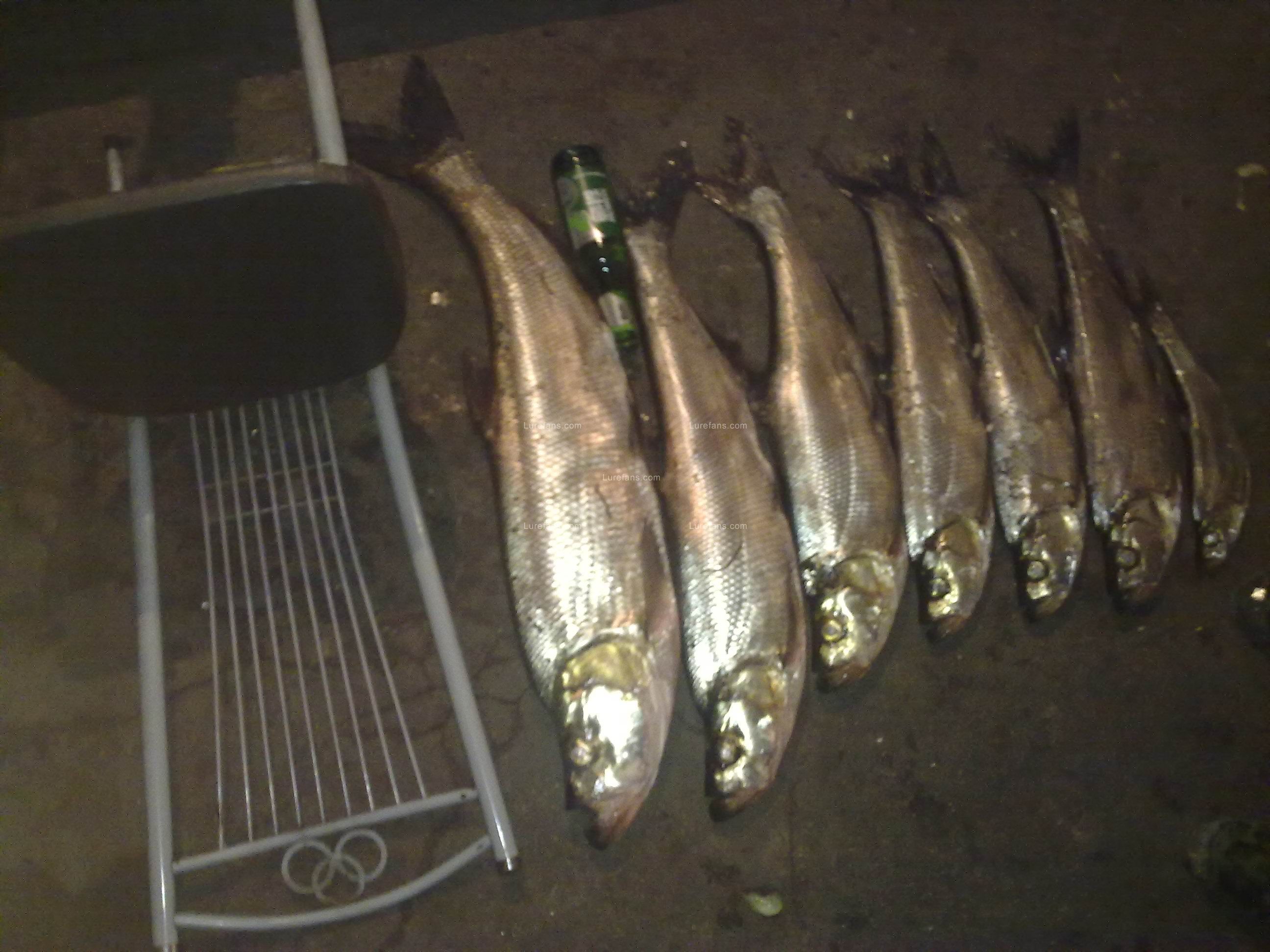 20100509043.jpg
