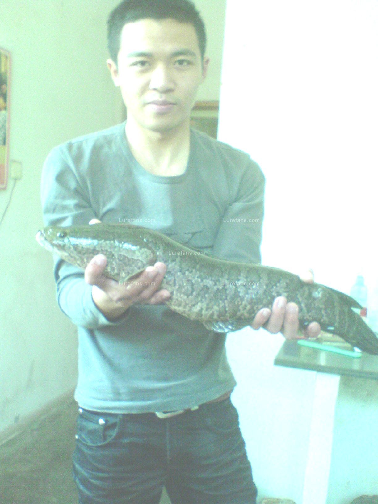 DSC00395.JPG