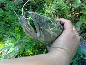 20100520665.jpg