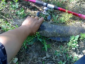 20100520666.jpg