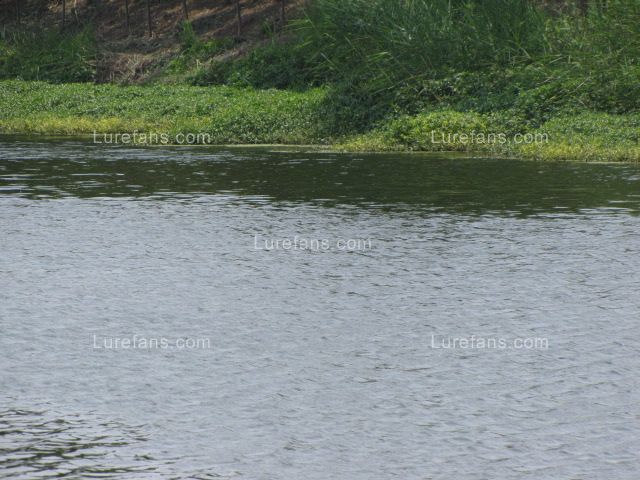 IMG_0386.JPG