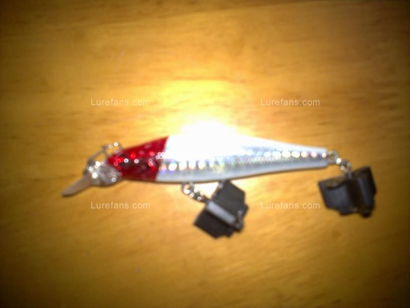 20100603606.jpg