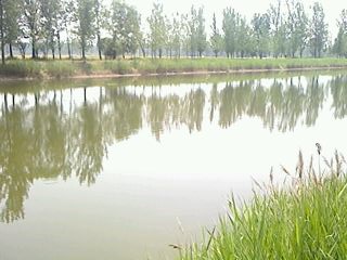 IMG0034A.jpg