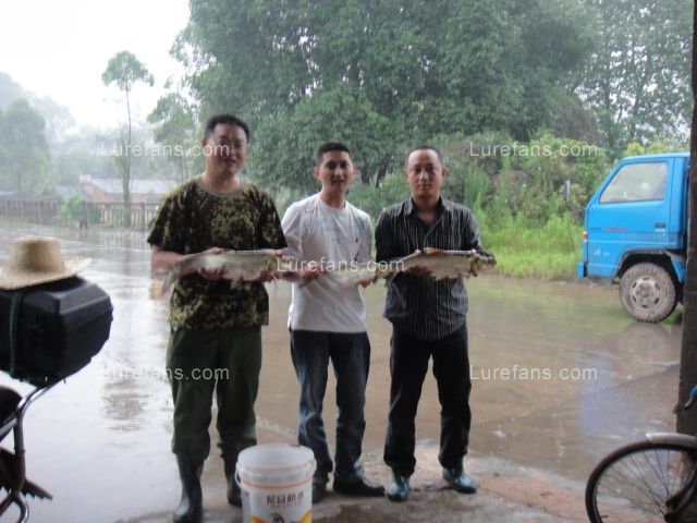 DSC00322.JPG