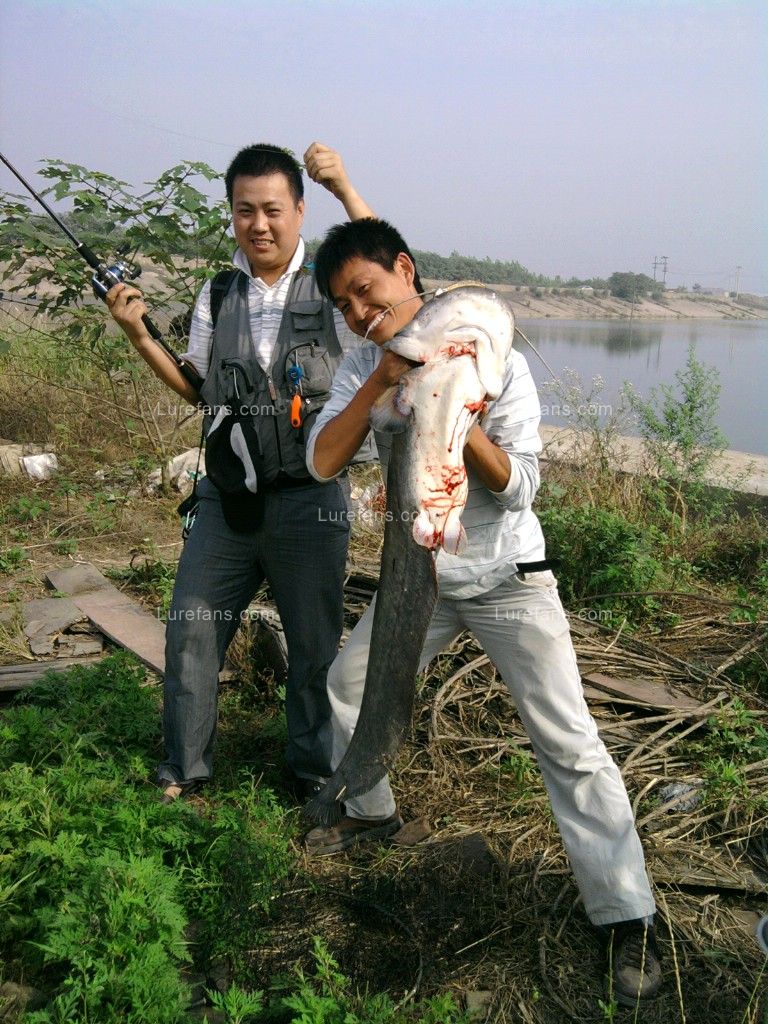 Ƭ0111.jpg