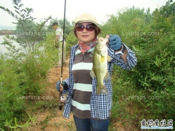 1006280753fe8af534448654a9[1].jpg