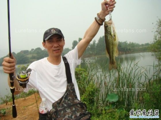 1006280753443ba93cdca0bc11[1].jpg