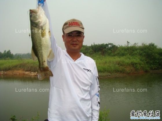 1006280753e3d70eed2853299a[1].jpg