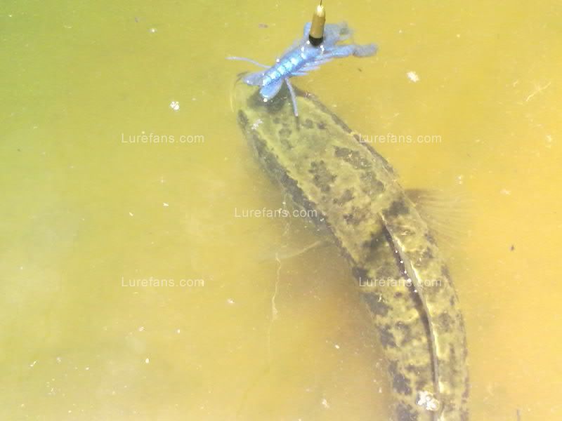 20100630480.jpg