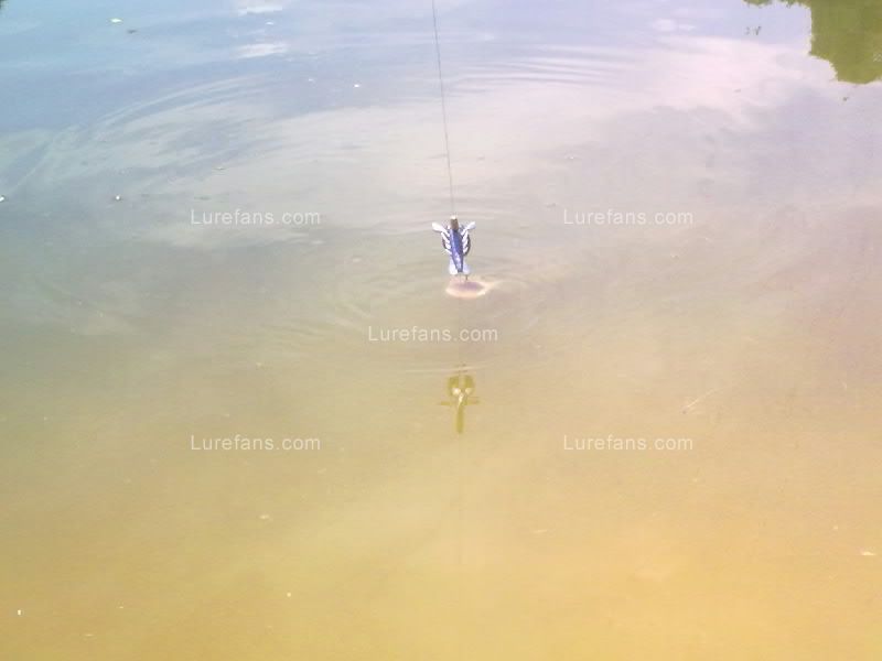 20100630479.jpg