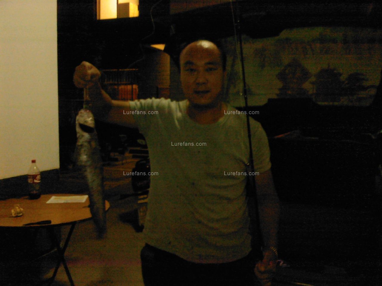 Ƭ1203.jpg