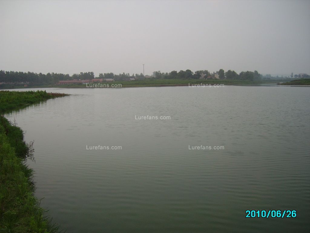 IMGP1817.JPG