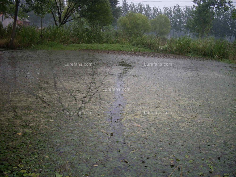 SDC14170.JPG