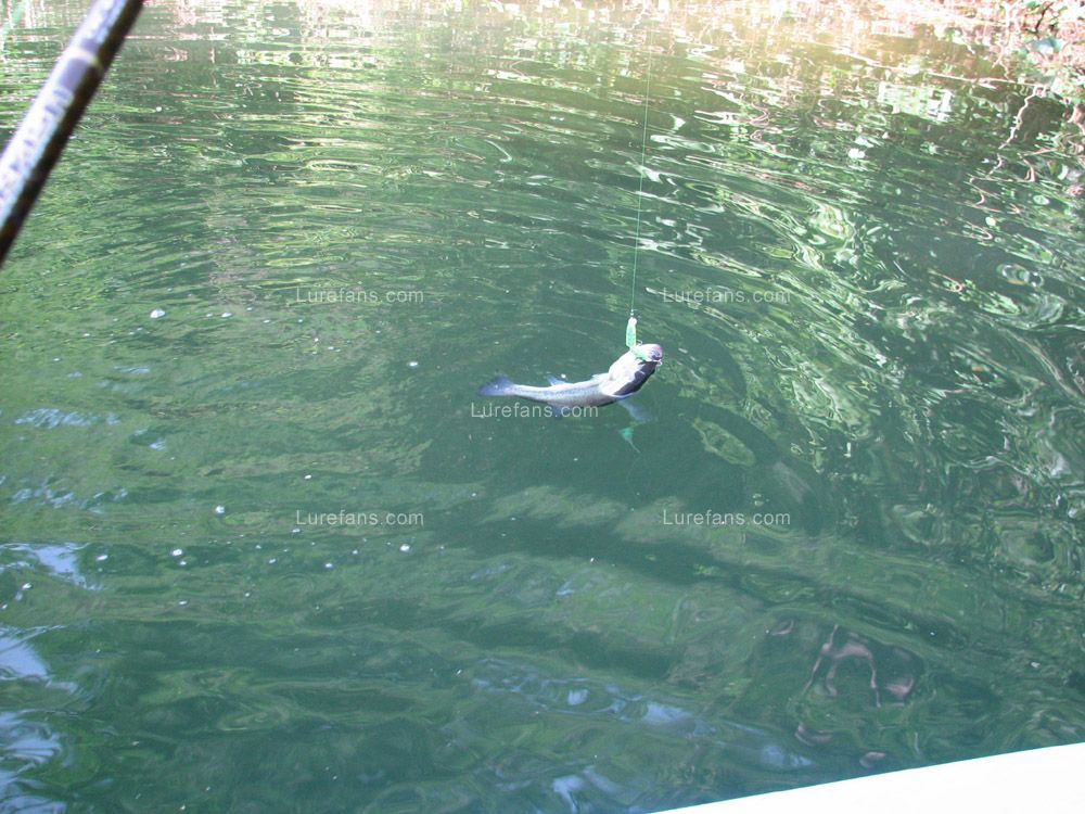 IMG_8353.JPG