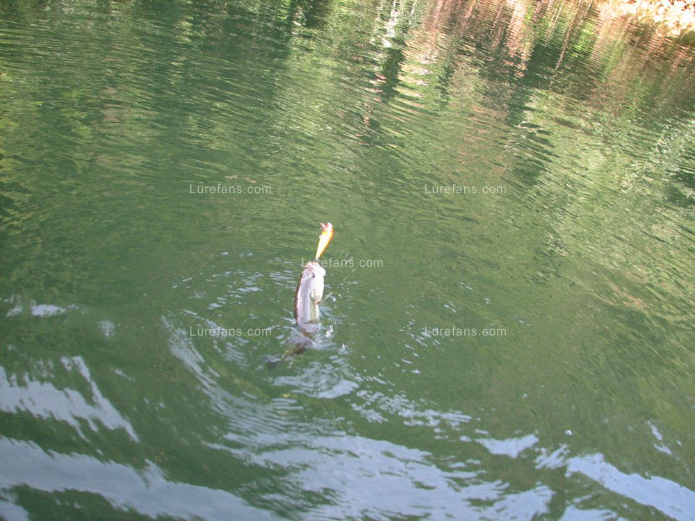 IMG_8349.JPG