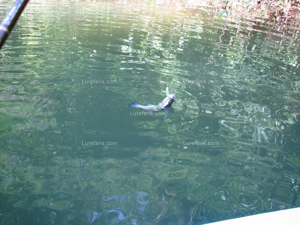 IMG_8354.JPG