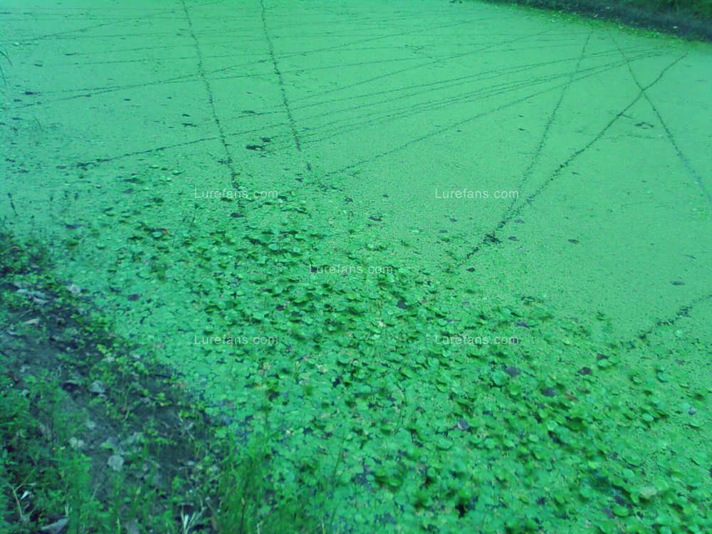 Picture13.jpg