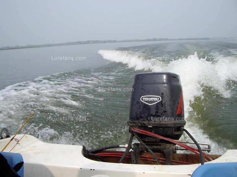 IMGP3085_С.JPG