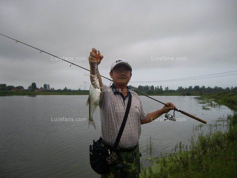 IMGP3079_С.JPG