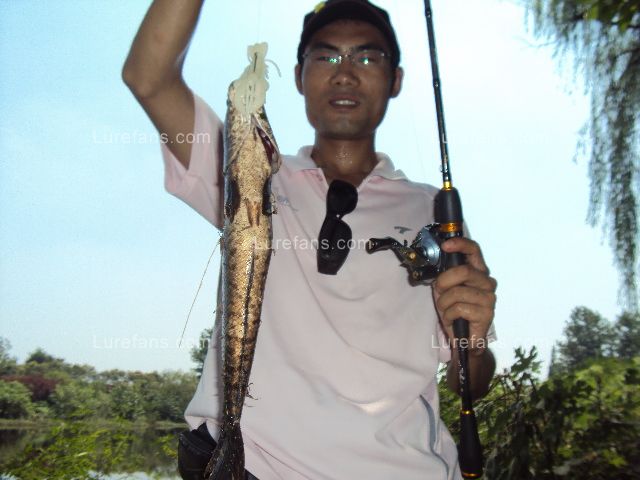 DSC02521.JPG