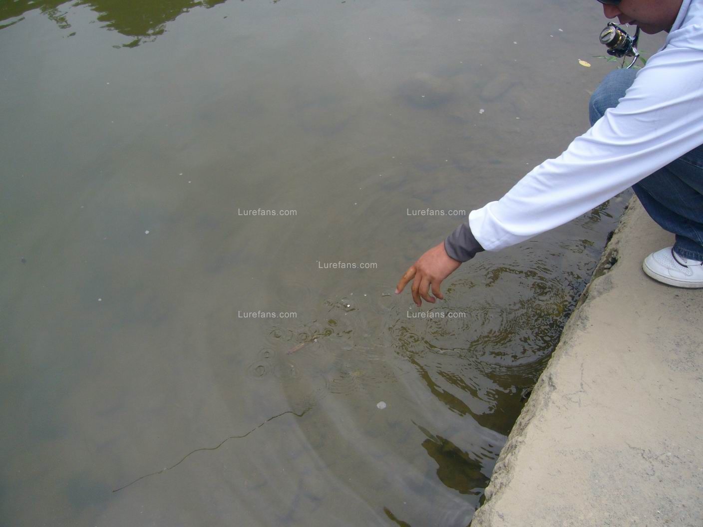 Ƭ 005.jpg