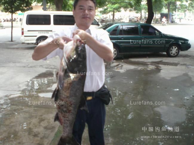 2007101401451451.jpg