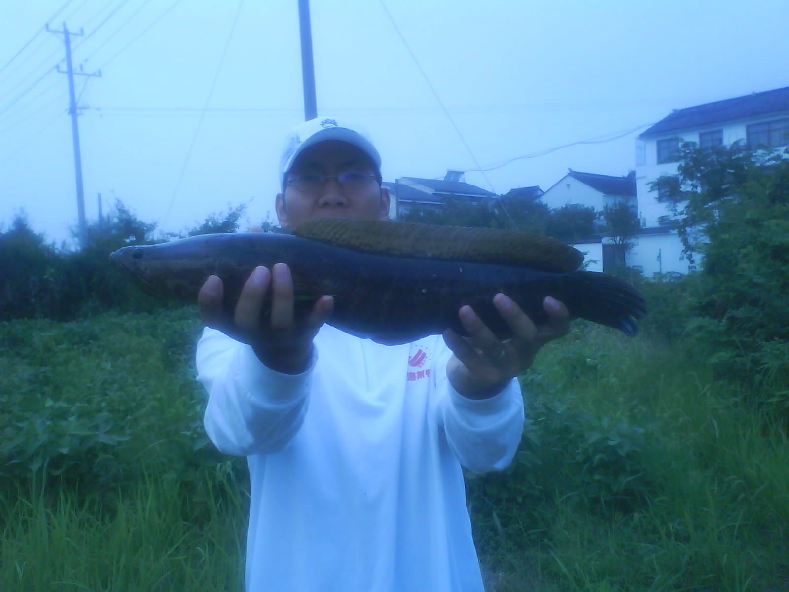 DSC00212.JPG