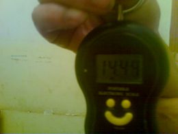 YP0167.jpg