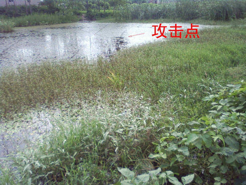 Picture33.jpg